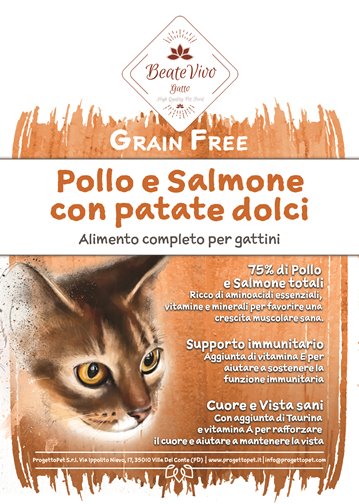 BeateVivo Grain Free Pollo e Salmone Kitten