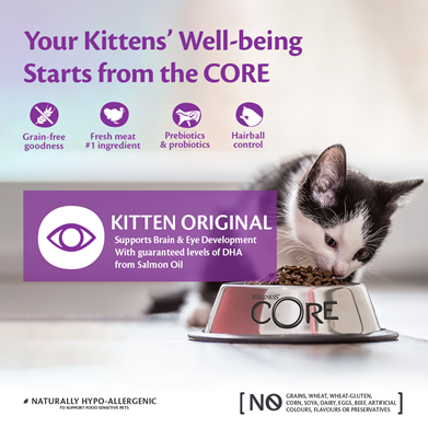 Wellness-Core-Kitten-Original-Tacchino-Pollo-e-Salmone-Gatti-Kitten-per-GATTI-76344107279MA-Wellness-Core-formato-confezione11111.jpg.png